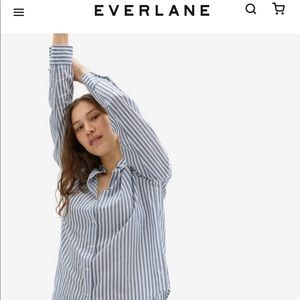 Everlane the Relaxed Air Shirt blue and white button up shirt size 2